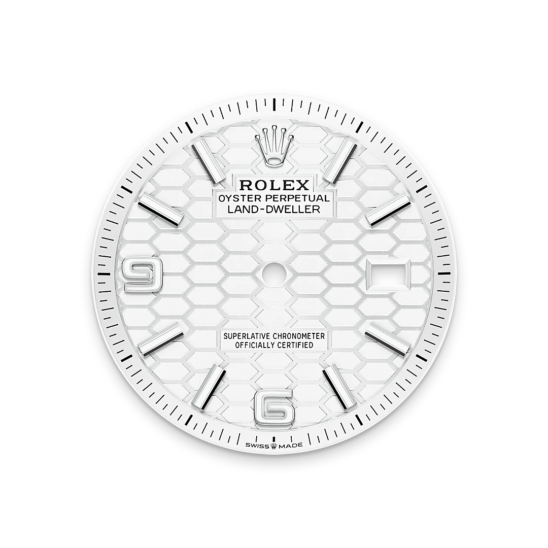 Rolex Land-Dweller 36 Oyster, 36 mm, Oystersteel and white gold M127234-0001