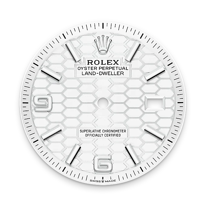 Rolex Land-Dweller 36 Oyster, 36 mm, Oystersteel and white gold M127234-0001