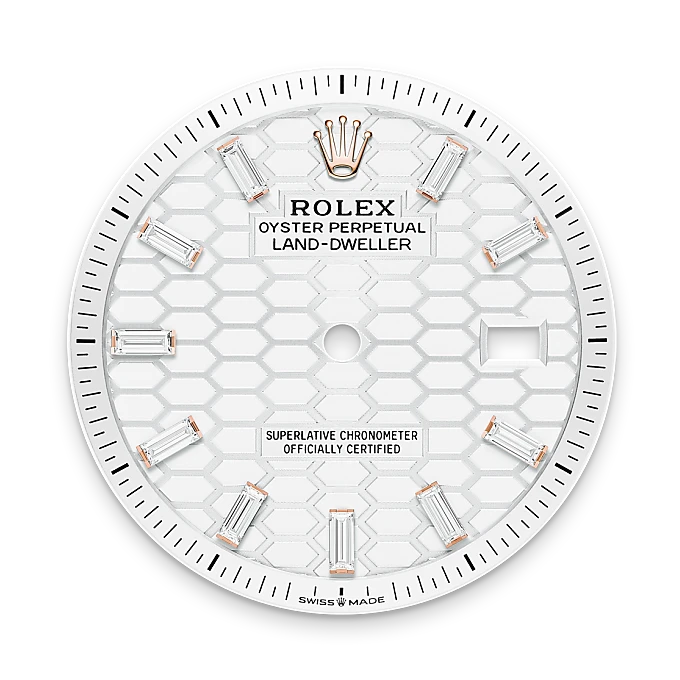 Rolex Land-Dweller 36 Oyster, 36 mm, Everose gold and diamonds M127285TBR-0002