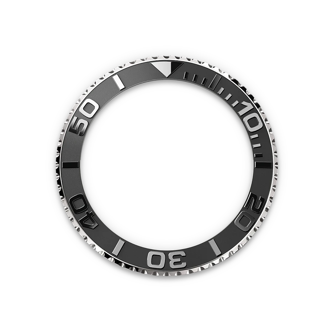 Rolex Bidirectional Rotatable Bezel-Rlx Titanium-M226627-0001