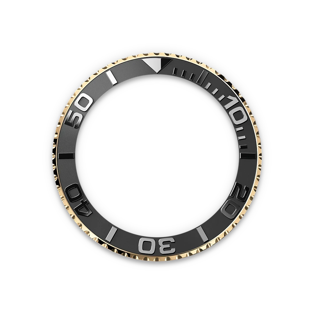 Rolex Bidirectional Rotatable Bezel-Yellow Gold-M226658-0001
