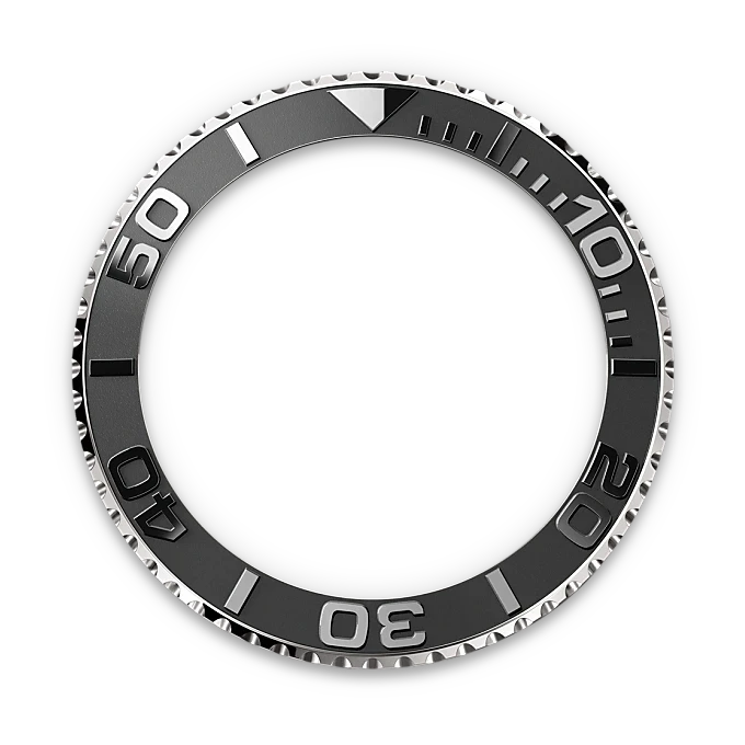 Rolex Bidirectional Rotatable Bezel-Rlx Titanium-M226627-0001