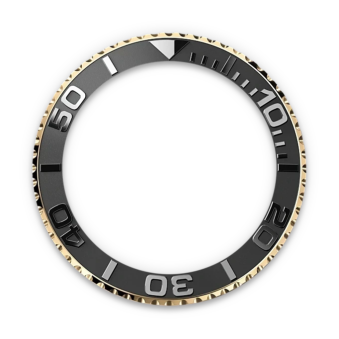 Rolex Bidirectional Rotatable Bezel-Yellow Gold-M226658-0001