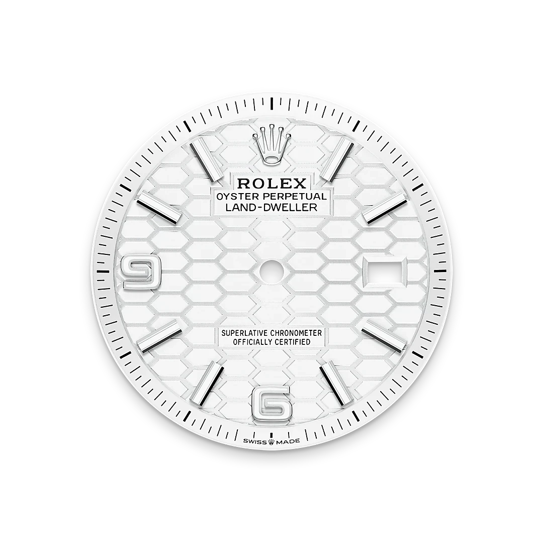 Close-up of a white Rolex Oyster Perpetual Land-Dweller watch dial with silver hour markers, hexagonal textured background, and crown logo at the top center.