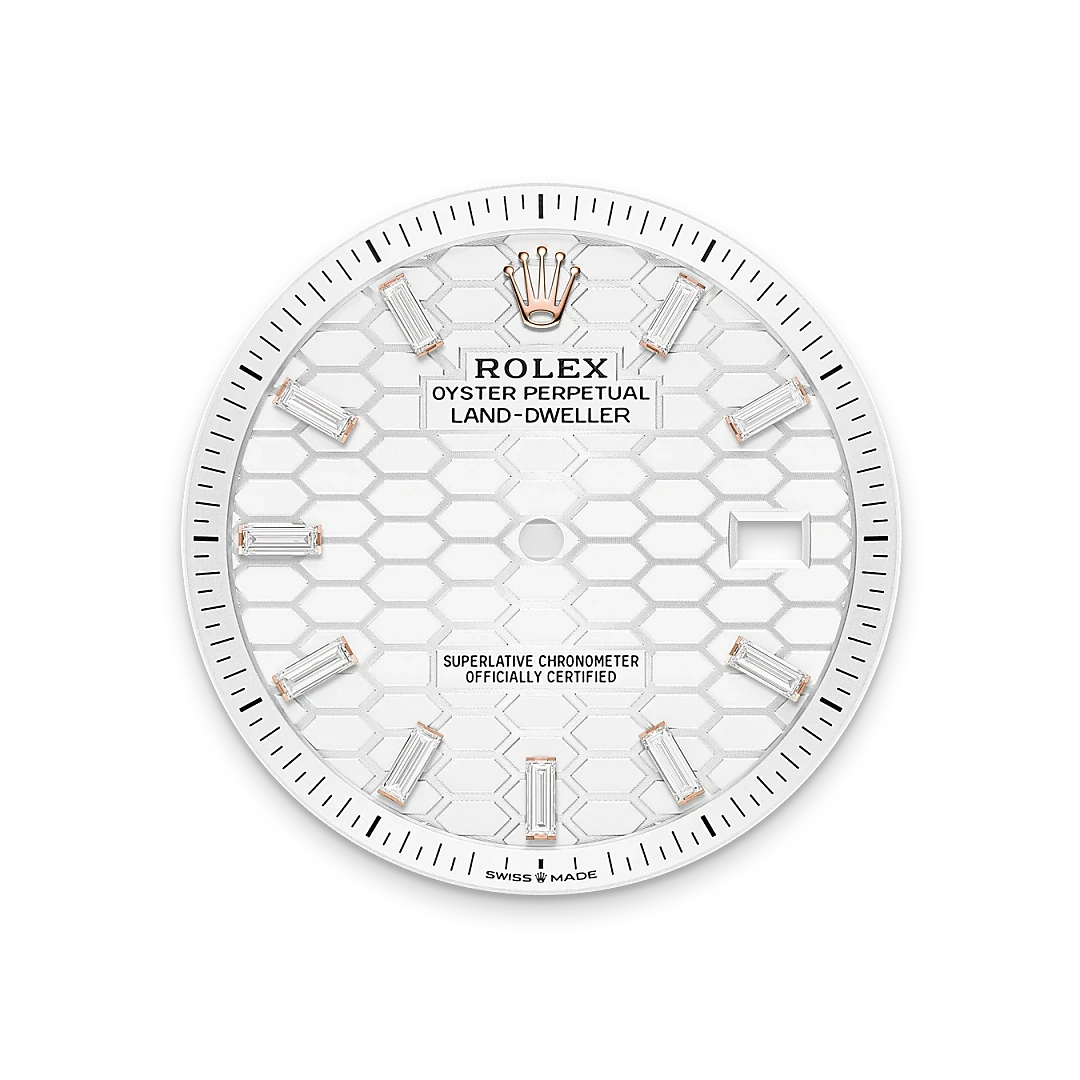 rolex Land-Dweller in 18 ct Everose gold, M127385TBR-0003 - Henne Jewelers