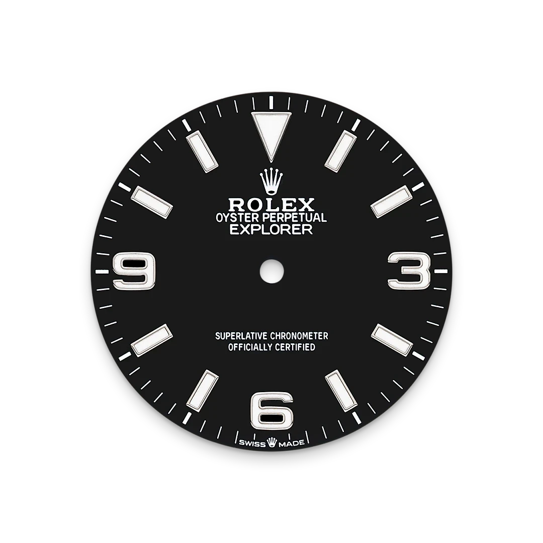 Rolex Black Dial-Oystersteel-M224270-0001