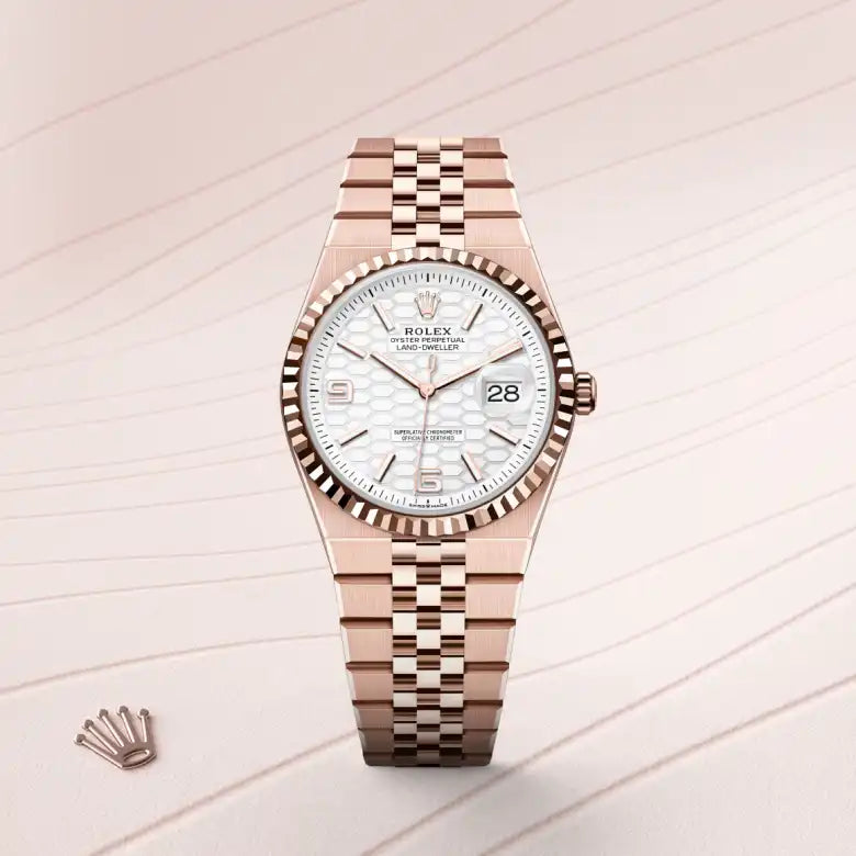 rolex Land-Dweller in 18 kt Everose gold, M127235-0001 - Henne Jewelers