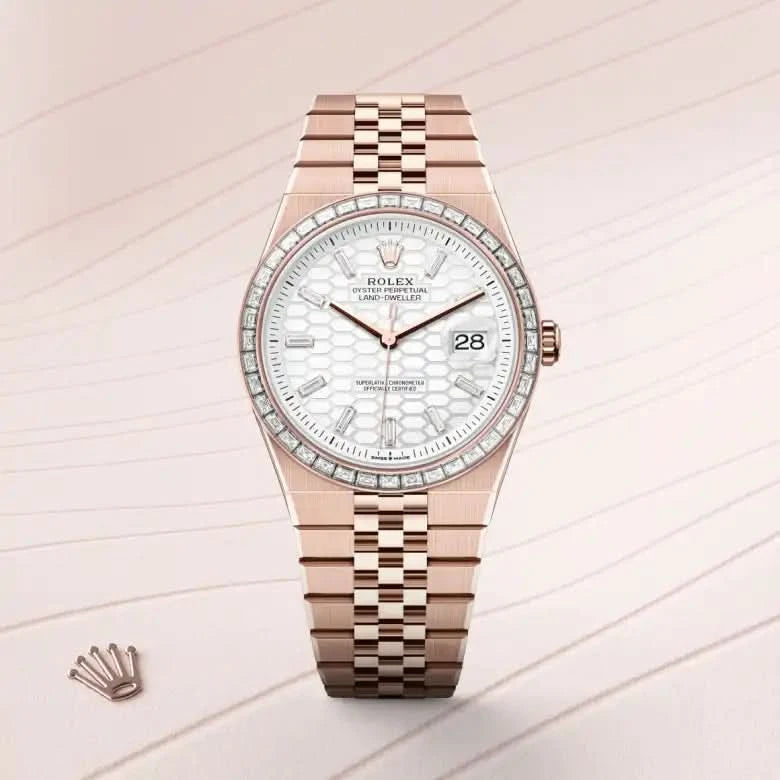 rolex land-dweller in 18 ct everose gold, M127385TBR-0003 - henne jewelers