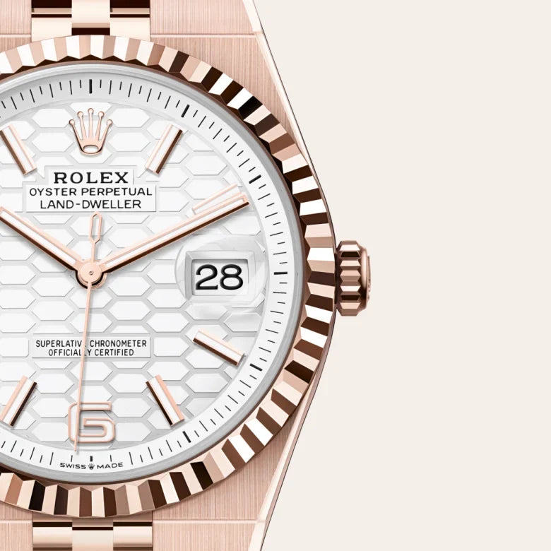 rolex Land-Dweller in 18 kt Everose gold, M127335-0001 - Henne Jewelers