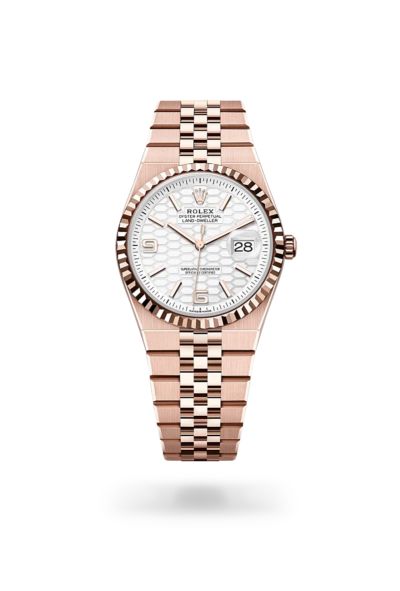 rolex Land-Dweller in 18 kt Everose gold, M127235-0001 - Henne Jewelers