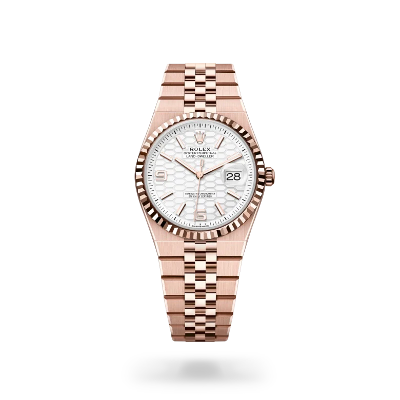 rolex Land-Dweller in 18 kt Everose gold, M127235-0001 - Henne Jewelers