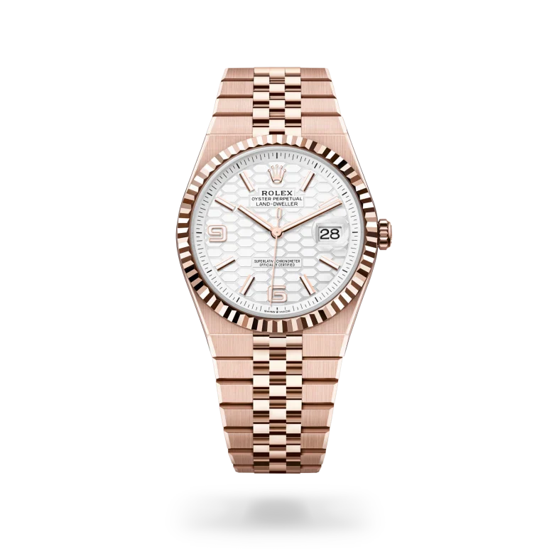 rolex Land-Dweller in 18 kt Everose gold, M127335-0001 - Henne Jewelers
