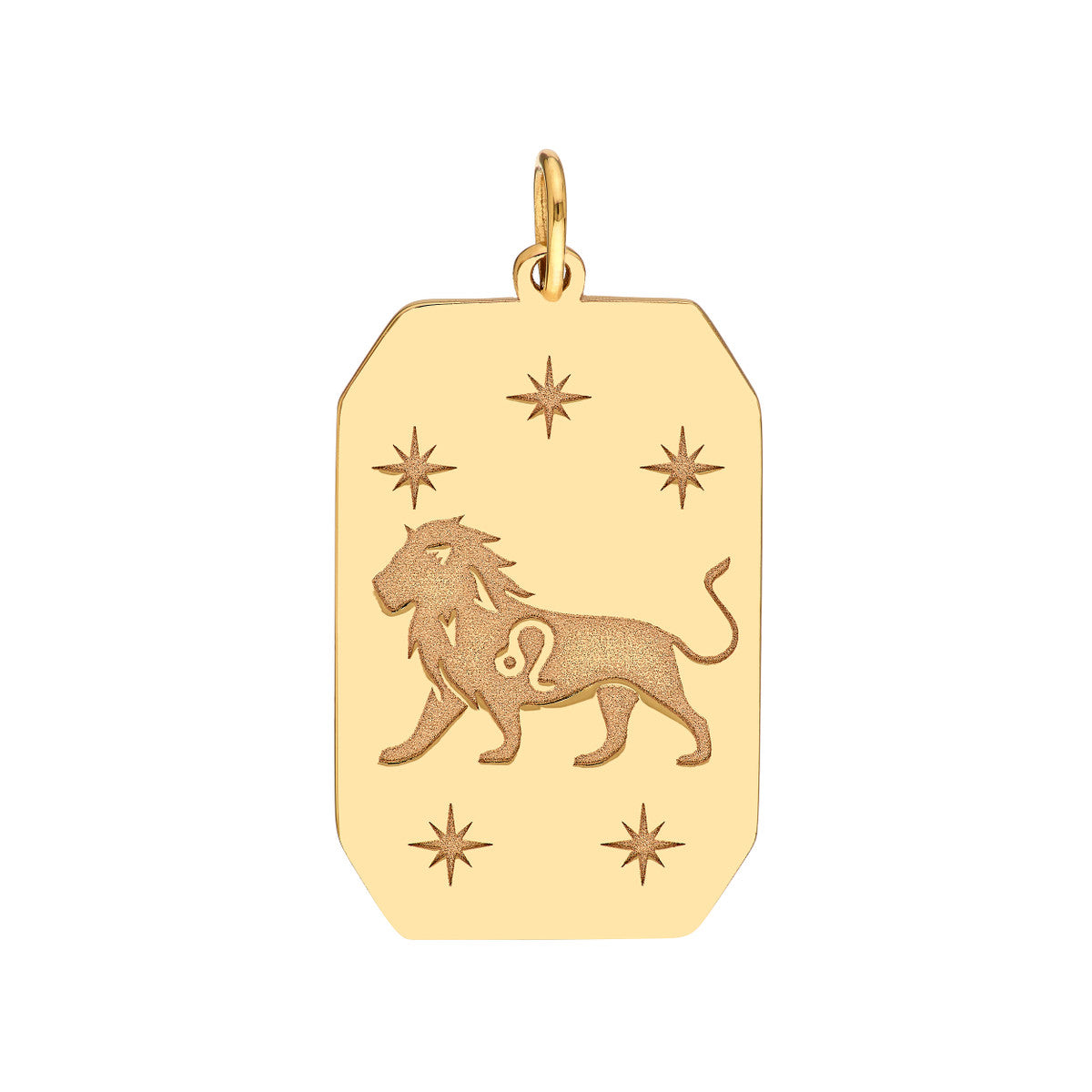 14K YELLOW GOLD LEO TAG CHARM  252-03082