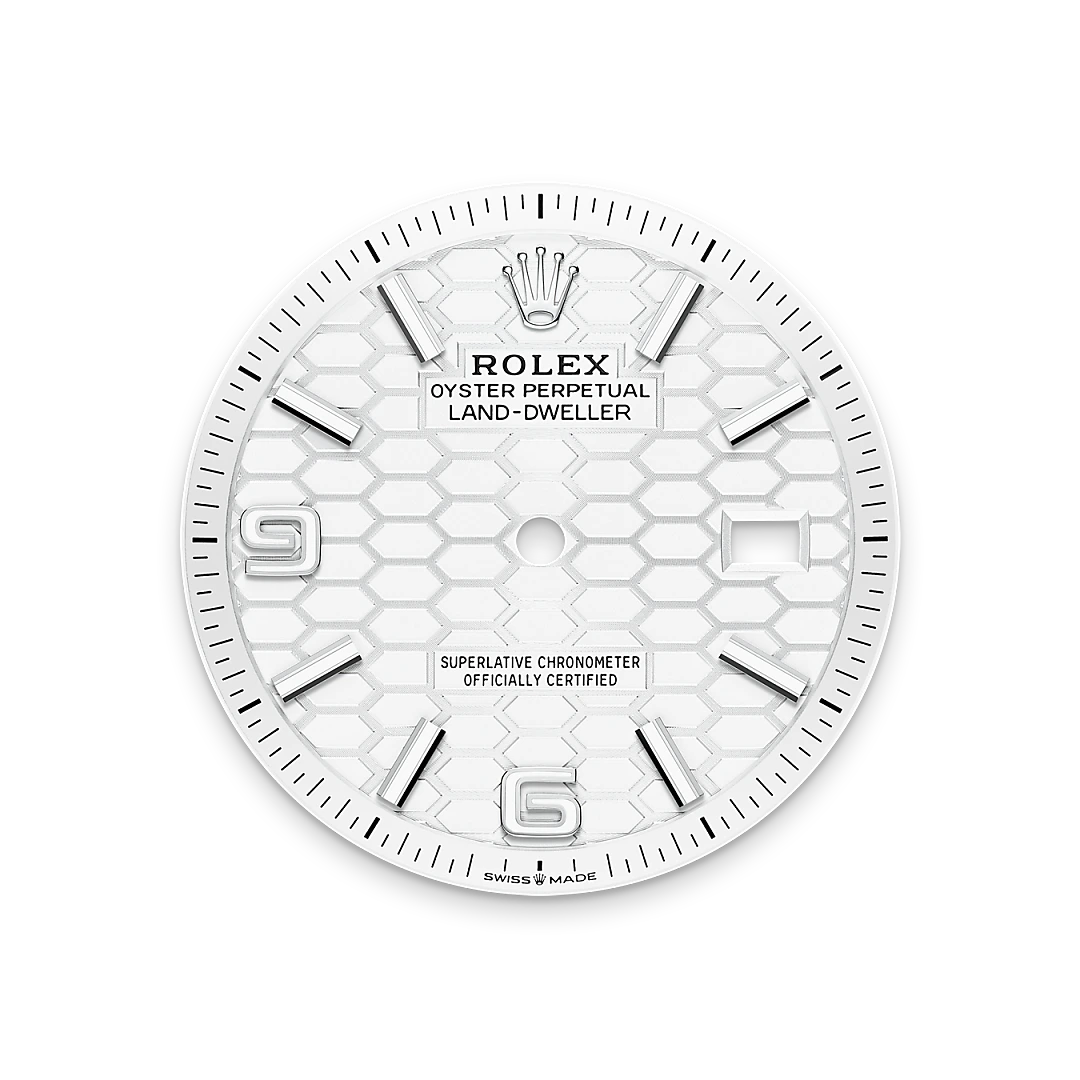 Rolex  Land-Dweller 36 Oyster, 36 mm, Oystersteel and white gold M127234-0001