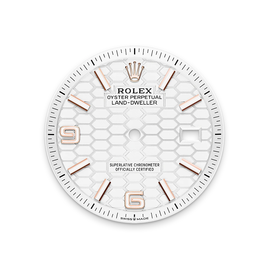 Rolex  Land-Dweller 36 Oyster, 36 mm, Everose gold M127235-0001