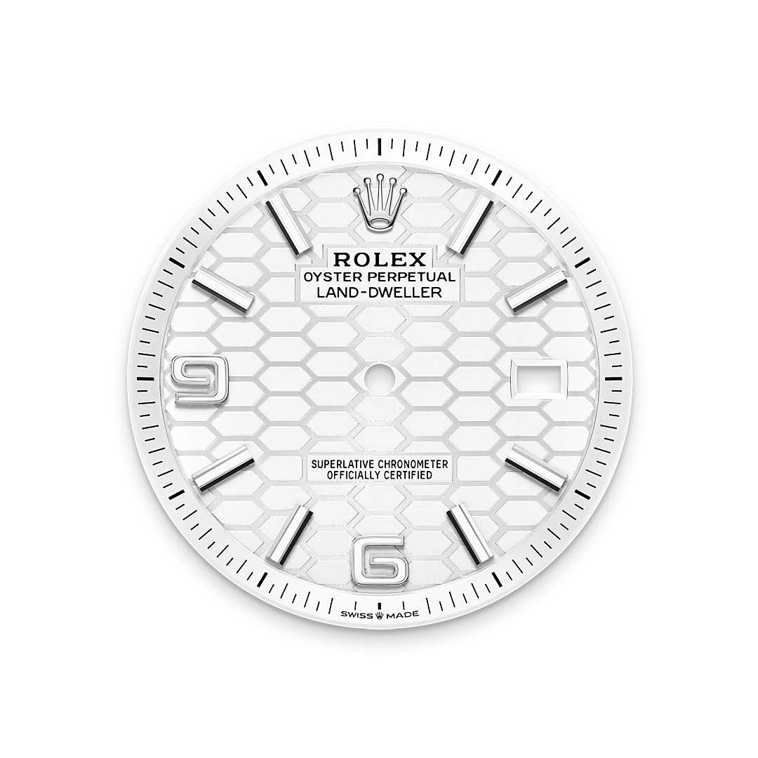 Rolex  Land-Dweller 40 Oyster, 40 mm, Oystersteel and white gold M127334-0001