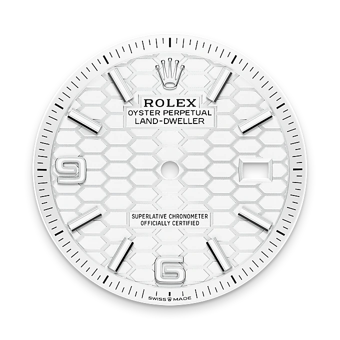 Rolex  Land-Dweller 36 Oyster, 36 mm, Oystersteel and white gold M127234-0001