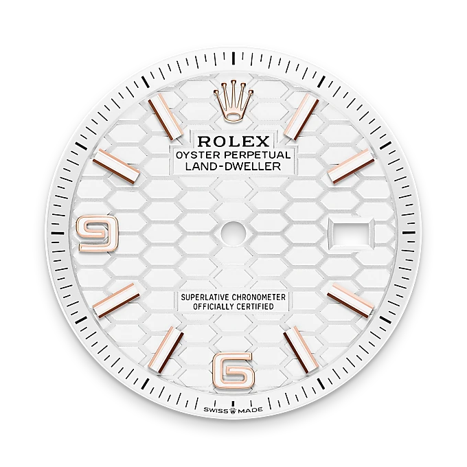 Rolex  Land-Dweller 36 Oyster, 36 mm, Everose gold M127235-0001