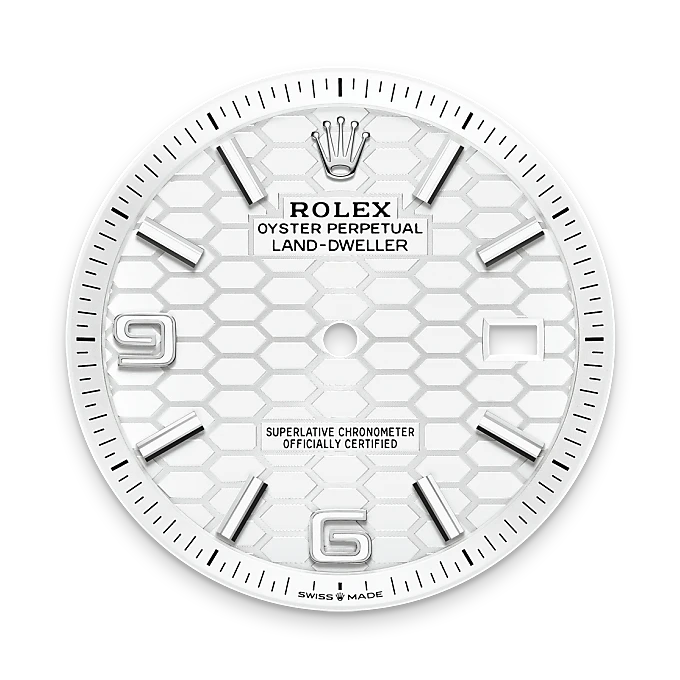 Rolex  Land-Dweller 40 Oyster, 40 mm, Oystersteel and white gold M127334-0001
