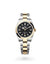 Rolex Explorer 36 Explorer Oyster, 36 mm, Oystersteel and yellow gold - M124273-0001 at Henne Jewelers