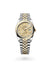 Rolex Datejust 36 Datejust Oyster, 36 mm, Oystersteel and yellow gold - M126203-0043 at Henne Jewelers