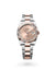 Rolex Datejust 36 Datejust Oyster, 36 mm, Oystersteel and Everose gold - M126231-0028 at Henne Jewelers