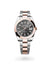 Rolex Datejust 41 Datejust Oyster, 41 mm, Oystersteel and Everose gold - M126301-0019 at Henne Jewelers