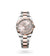 Roelx Datejust 41 Datejust 41 Oyster, 41 mm, Oystersteel and Everose gold - M126331-0007 at Henne Jewelers