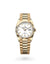 Rolex Day-Date 36 Day-Date Oyster, 36 mm, yellow gold - M128238-0081 at Henne Jewelers