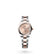 Rolex Datejust 31 Datejust Oyster, 31 mm, Oystersteel and Everose gold - M278241-0009 at Henne Jewelers