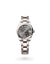Rolex Datejust 31 Datejust Oyster, 31 mm, Oystersteel, Everose gold and diamonds - M278341RBR-0029 at Henne Jewelers