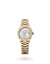 Rolex Lady-Datejust Oyster, 28 mm, yellow gold and diamonds - M279138RBR-0015 at Henne Jewelers