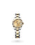 Rolex Lady-Datejust Oyster, 28 mm, Oystersteel and yellow gold - M279173-0012 at Henne Jewelers