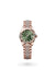 Rolex Lady-Datejust Oyster, 28 mm, Everose gold - M279175-0013 at Henne Jewelers