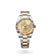 Rolex Sky-Dweller Oyster, 42 mm, Oystersteel and yellow gold - M336933-0001 at Henne Jewelers