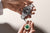Rolex Certified Pre-Owned Program at Henne Jewelers