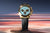 Rolex exclusive dials 2025 – Daytona, GMT‑Master II, Sky‑Dweller at henne jewelers