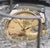 Yellow Gold Rolex Watch Casing Being Submerged in Water
