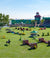 rolex grand slam of show jumping - henne jewelers