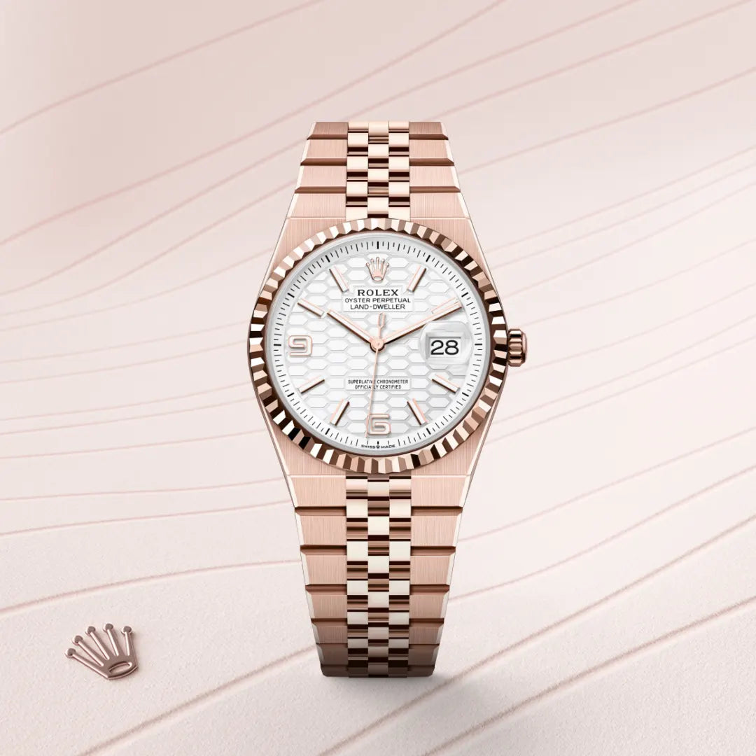 rolex land-dweller in everose gold, M127235-0001 - henne jewelers