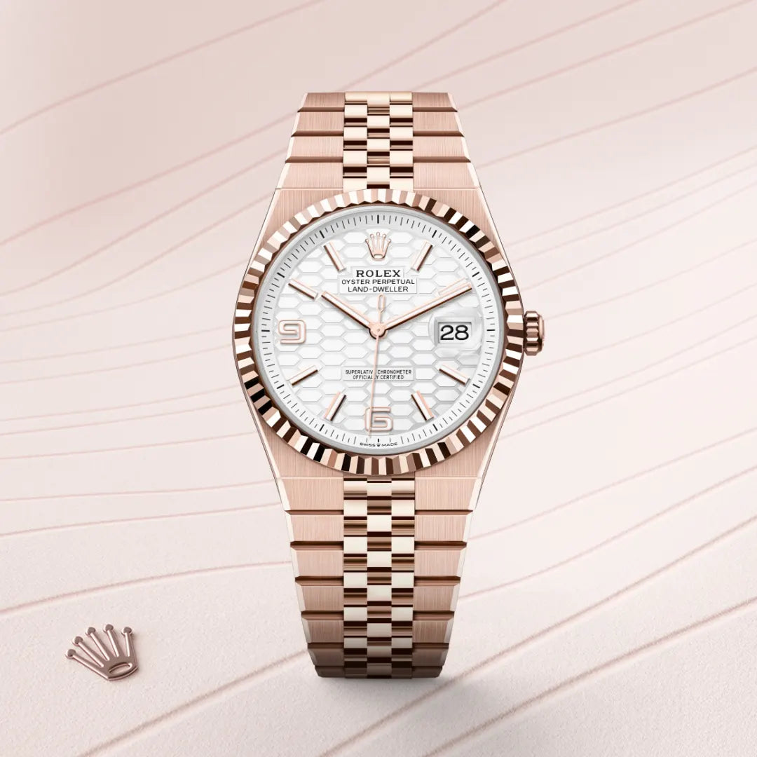 rolex land-dweller in everose gold, M127335-0001 - henne jewelers