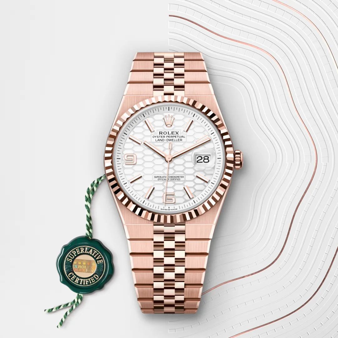 rolex land-dweller in everose gold, M127335-0001 - henne jewelers