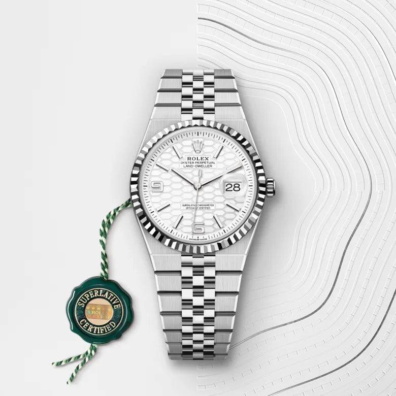 rolex land-dweller in oystersteel and white gold, M127234-0001 - henne jewelers