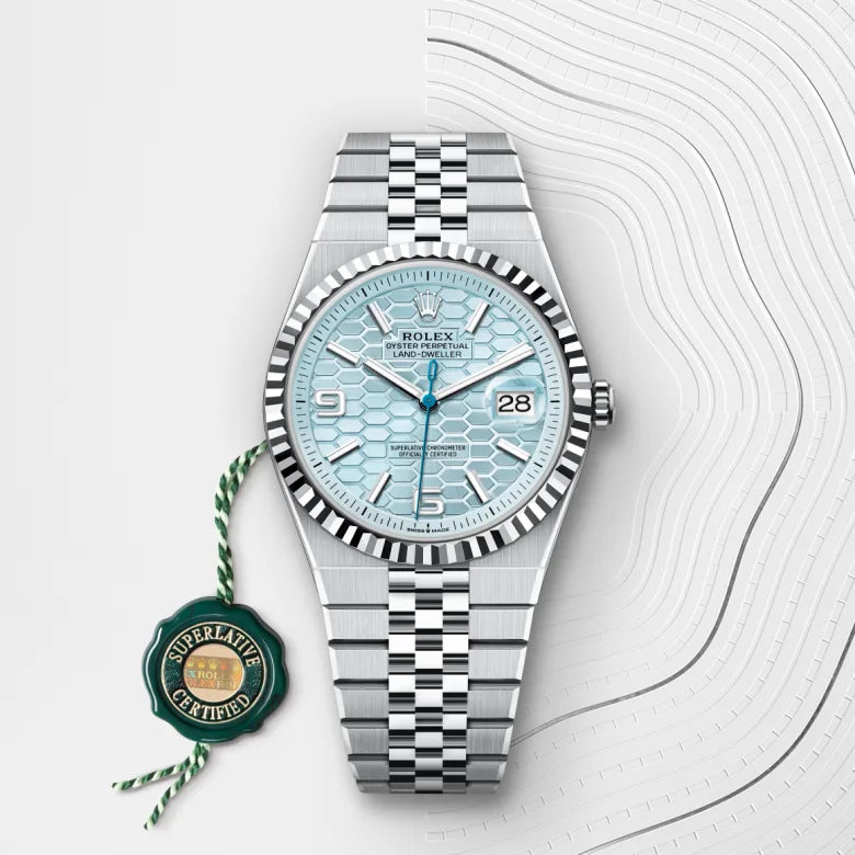 rolex land-dweller in platinum M127336-0001 - henne jewelers