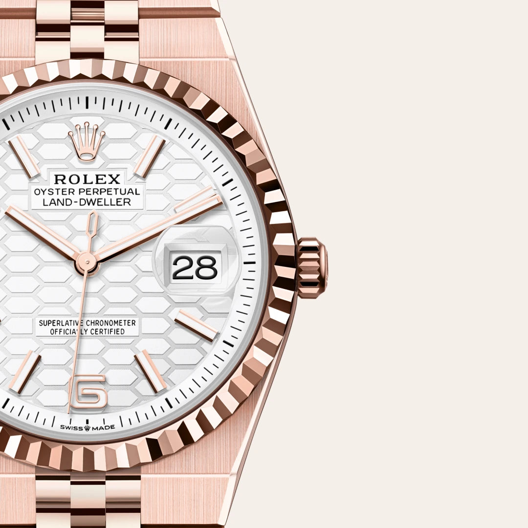 rolex land-dweller in everose gold, M127235-0001 - henne jewelers