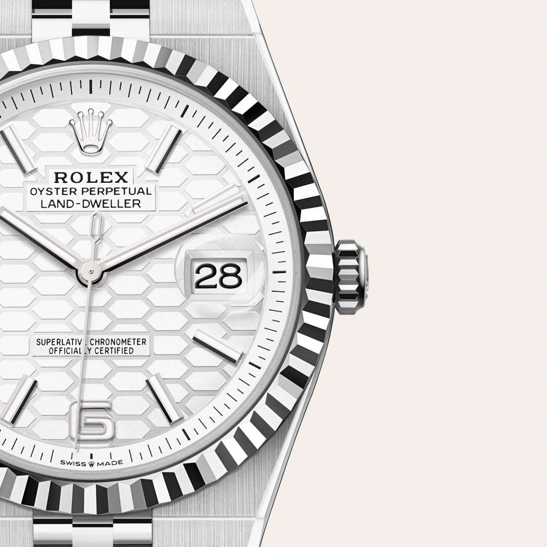 rolex land-dweller in oystersteel and white gold, M127334-0001 - henne jewelers