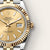 Rolex  Datejust 41 Oyster, 41 mm, Oystersteel and yellow gold M126333-0010