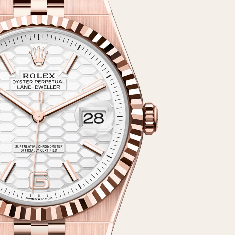 rolex land-dweller in everose gold, M127335-0001 - henne jewelers