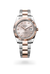 Rolex  Datejust 41 Oyster, 41 mm, Oystersteel and Everose gold M126331-0007