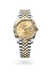 Rolex  Datejust 41 Oyster, 41 mm, Oystersteel and yellow gold M126333-0010